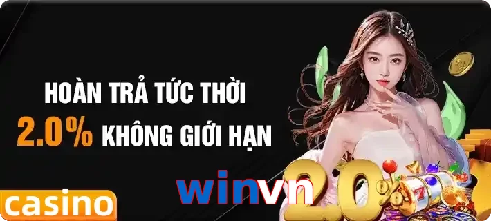 winvn