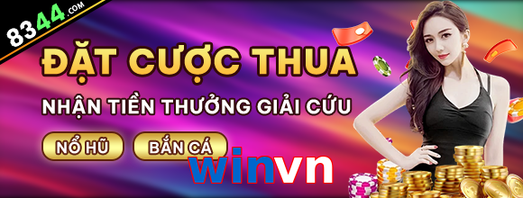winvn